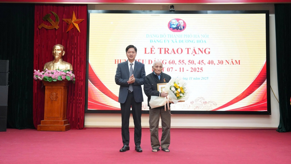 Xã Dương Hoà trao tặng, truy tặng Huy hiệu Đảng cho 17 đảng viên