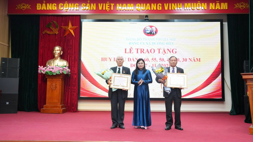 Xã Dương Hoà trao tặng, truy tặng Huy hiệu Đảng cho 17 đảng viên