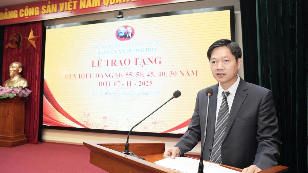 Xã Dương Hoà trao tặng, truy tặng Huy hiệu Đảng cho 17 đảng viên