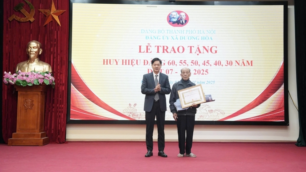 Xã Dương Hoà trao tặng, truy tặng Huy hiệu Đảng cho 17 đảng viên