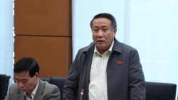 the che phai chuyen tu quan ly cap phep sang kien tao dan dat phuc vu