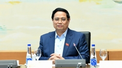 thu tuong ca n phai phan loai kien thuc can bo co so thieu cai gi thi boi duong cai do