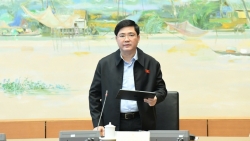 dai bieu quoc hoi lo ngai rui ro thoi phong gia tri tai san so huu tri tue