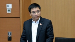 quy hoach vung ma cai gi cung dua het vao thi se thanh quy hoach gai qua mit