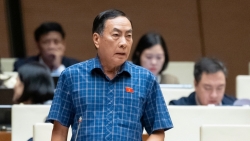 canh giac tinh trang lam dung dong dau mat de che giau thong tin