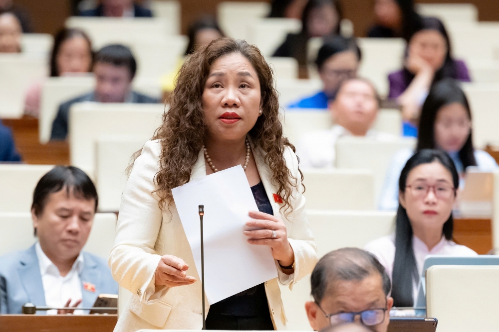 Già hóa dân số nhanh, đại biểu Quốc hội nói về “nền kinh tế tóc bạc”