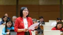 dai bieu quoc hoi lo tinh trang chan trong chan ngoai khi mo rong quyen cho vien chuc