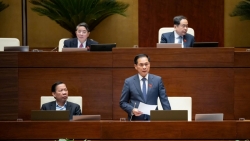 pho thu tuong noi ve quy dinh siet livestream ban hang online