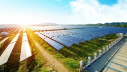 nang luong tai tao la chan kinh te va an ninh quoc gia truoc thien tai