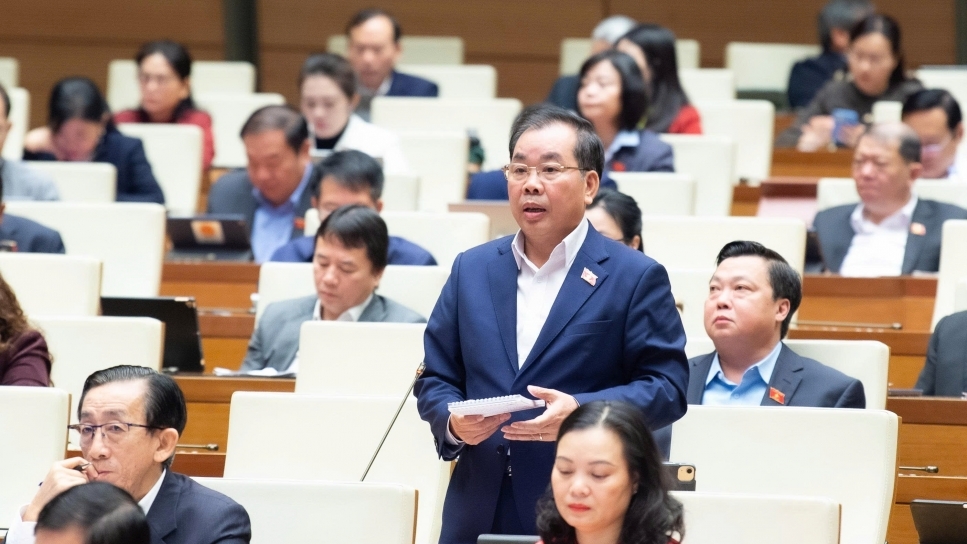 Sáp nhập cơ học có thể sẽ khiến một số trường đại học đang mạnh thành kém đi