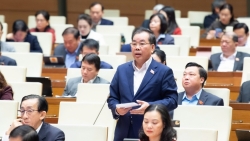 Sáp nhập cơ học có thể sẽ khiến một số trường đại học đang mạnh thành kém đi