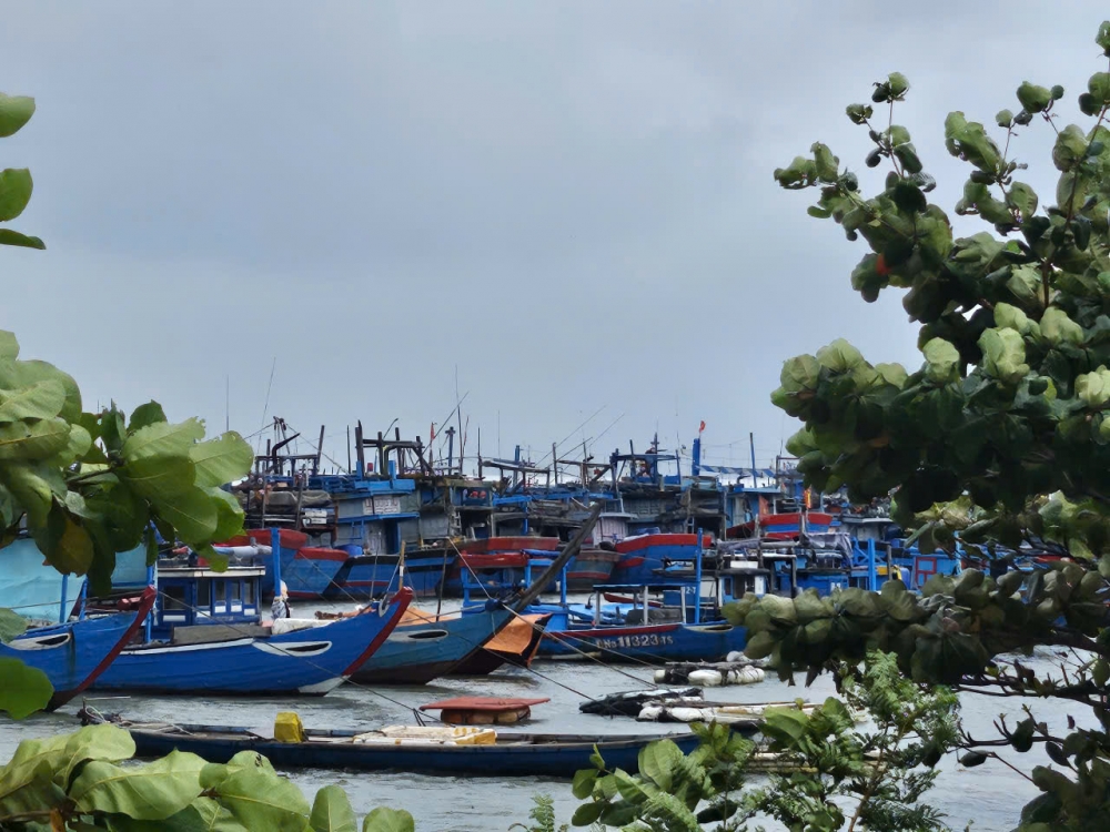 Xây dựng kịch bản ứng phó bão số 15, tính toán kỹ nguy cơ lũ, lụt, sạt lở đất