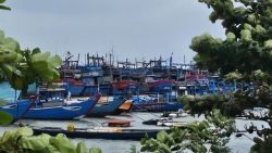 tong luc chong bao so 15 va nguy co lu lut