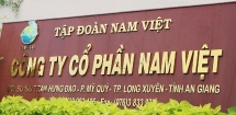 thao tung gia co phieu mot nha dau tu bi phat nang