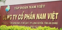 Thao túng giá cổ phiếu, một nhà đầu tư bị phạt nặng