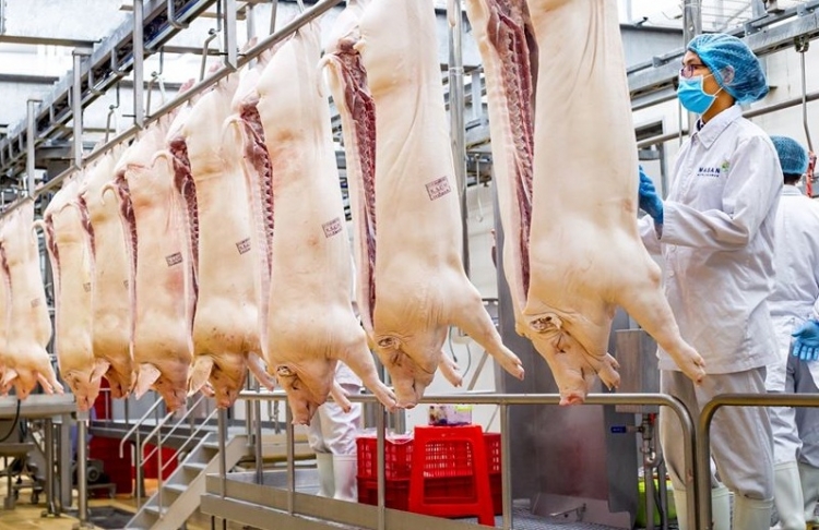 Thủ tướng: Xử nghiêm ghìm giá, không chịu xuất lợn tạo sốt ảo để trục lợi