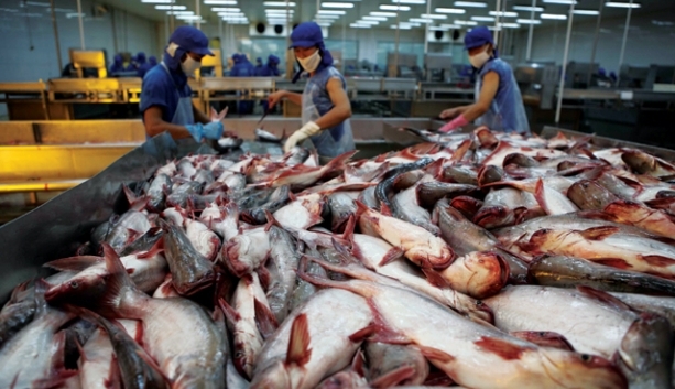Xuất khẩu thủy sản Việt Nam ''tắc'' vì Trung Quốc siết nhập khẩu