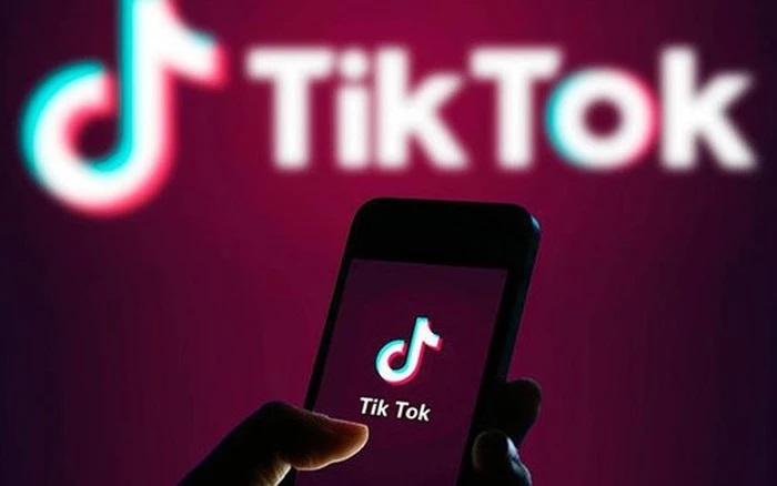 Các ông lớn Facebook, Google, TikTok… nộp thuế hơn 3.000 tỷ đồng tại Việt Nam