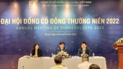 Hai công ty thuộc Tập đoàn APEC rút hồ sơ chào bán cổ phiếu ra công chúng