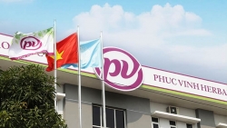 Hà Nội xử lý hàng loạt công ty dược vi phạm quảng cáo, chất lượng sản phẩm