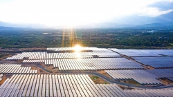 Nhà đầu tư điện mặt trời cầu cứu vì bị cắt giảm công suất