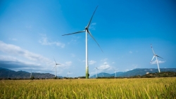 Dự án điện tái tạo hưởng giá FIT ưu đãi không đúng sẽ bị thu hồi