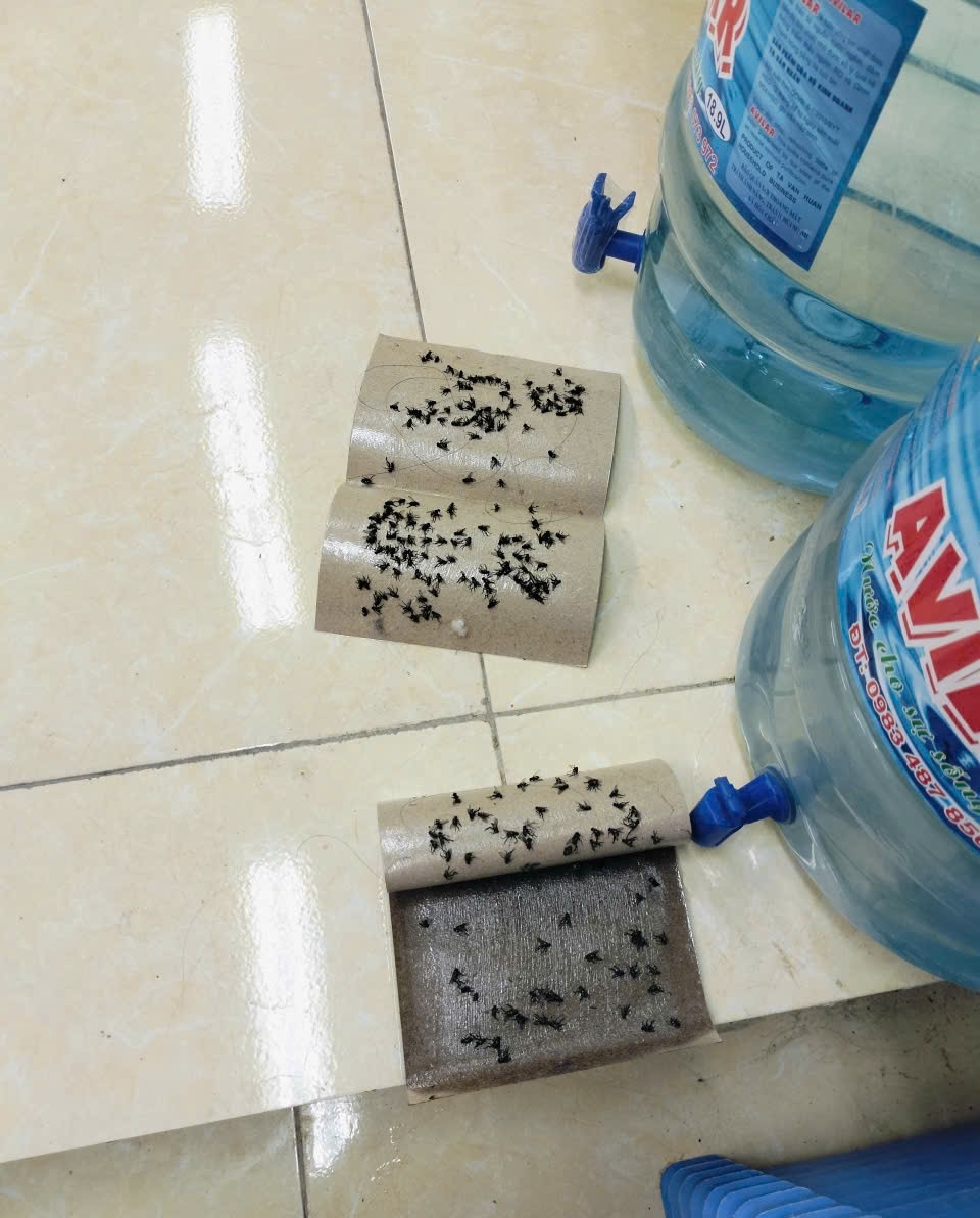 Hoài Đức: Phụ huynh kêu trời vì học sinh phải học chung với ruồi và ô nhiễm giữa Thủ đô