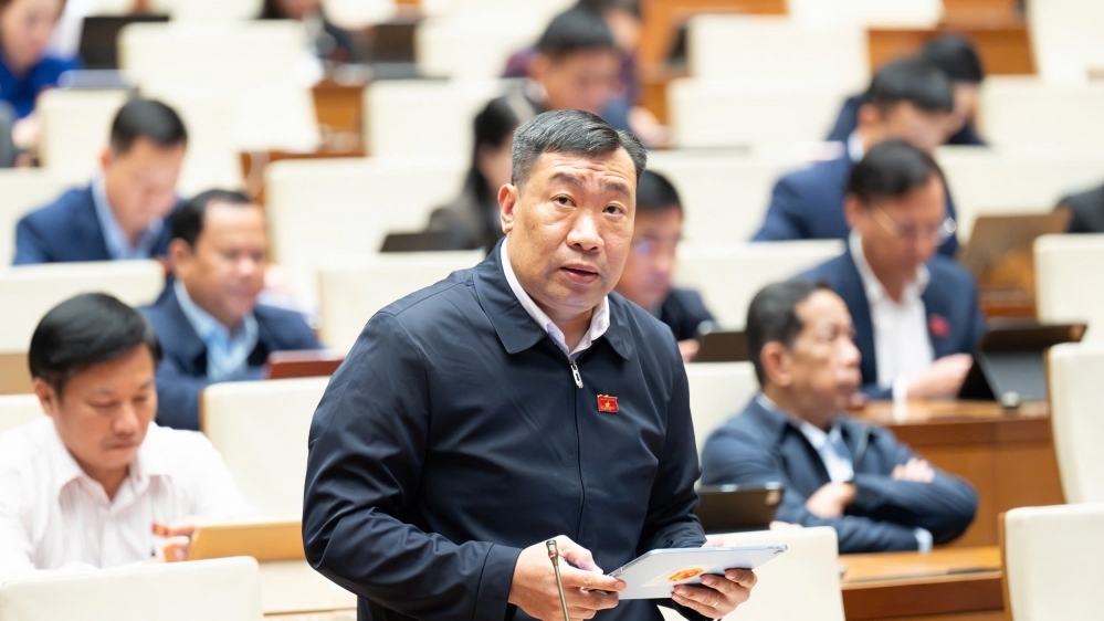 Thống nhất mở rộng bổ nhiệm thẩm phán là người nước ngoài tại tòa án chuyên biệt