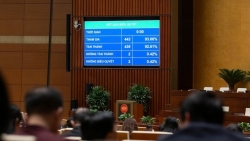 Luật Giám định tư pháp (sửa đổi): Công an tỉnh được giám định thương tích