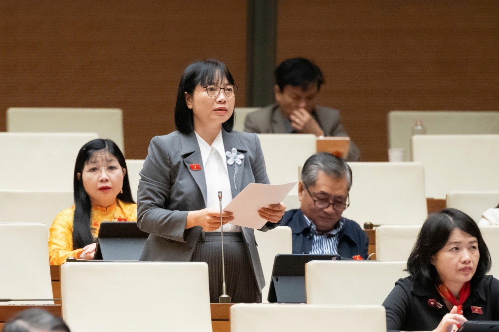 Cử tri không muốn nhận một bản giải trình dài mà cần biện pháp giải quyết rõ ràng Cử tri không muốn nhận một bản giải trình dài mà cần biện pháp giải quyết rõ ràng