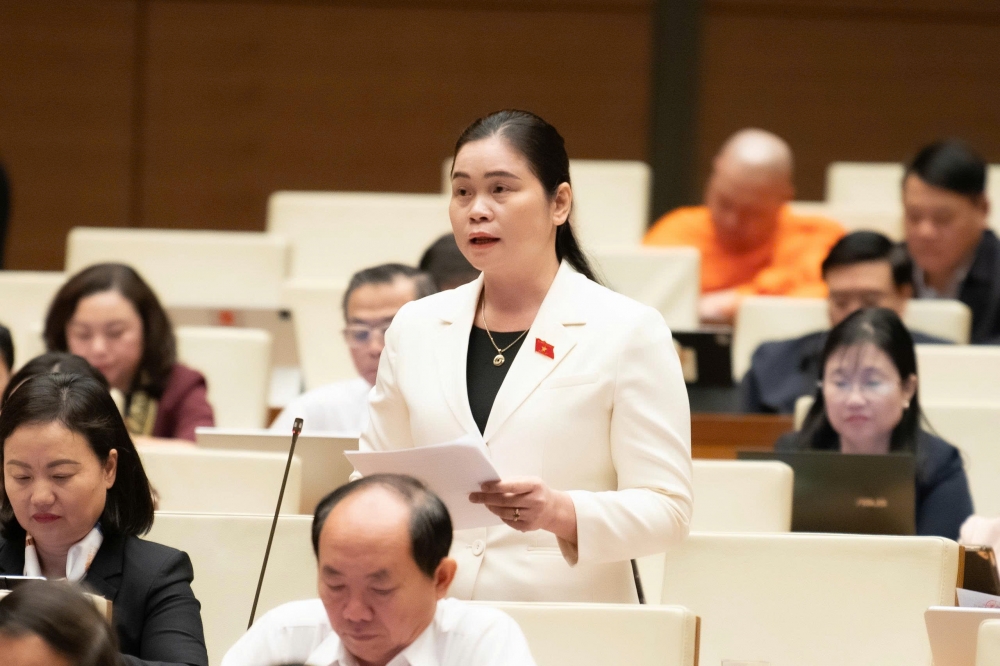 Cử tri không muốn nhận một bản giải trình dài mà cần biện pháp giải quyết rõ ràng Cử tri không muốn nhận một bản giải trình dài mà cần biện pháp giải quyết rõ ràng