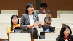 Cử tri không muốn nhận một bản giải trình dài mà cần biện pháp giải quyết rõ ràng