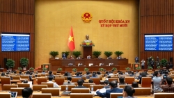 Quốc hội biểu quyết thông qua Luật Báo chí (sửa đổi) và hàng chục dự án luật quan trọng