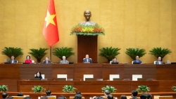 Quốc hội thông qua 150 luật, 49 nghị quyết trong nhiệm kỳ 2021 - 2026