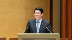 hoat dong doi ngoai cua chu tich nuoc duoc trien khai linh hoat hieu qua