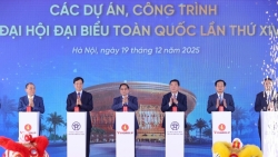 nen tang de dat nuoc vuon minh