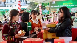 canh bao thong tin khong xac thuc ve hoi cho mua xuan 2026