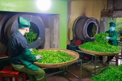 giai vay gan 500 container che cua viet nam bi mac ket tai pakistan