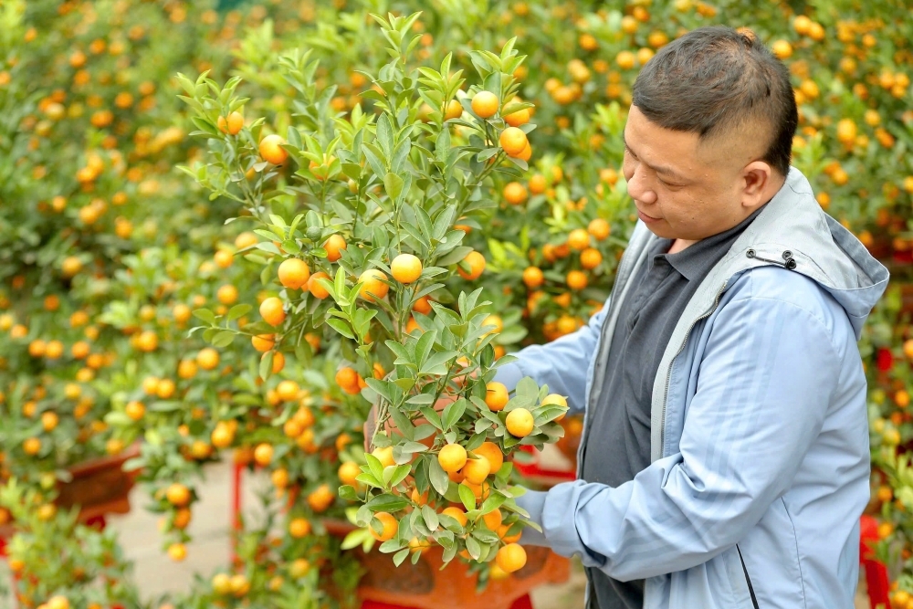 Xã Hoài Đức lên phương án đảm bảo cung cầu, bình ổn thị trường Tết 2026