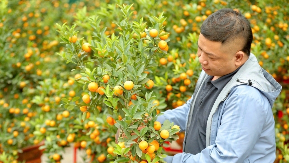 Xã Hoài Đức lên phương án đảm bảo cung cầu, bình ổn thị trường Tết 2026