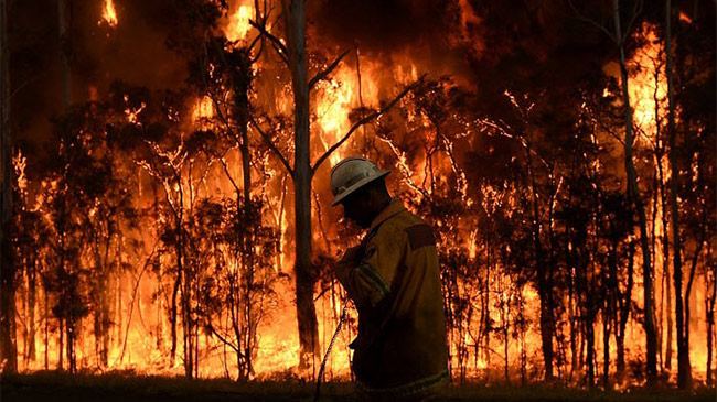 Những con số "biết nói" trong ngọn lửa "địa ngục" ở Australia