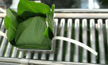 Gói bánh chưng bằng máy