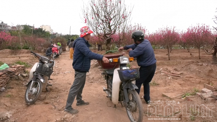 nhung chuyen xe cho tet ve nha