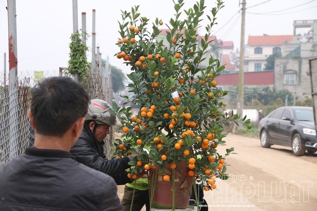 nhung chuyen xe cho tet ve nha