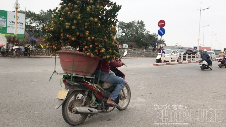 nhung chuyen xe cho tet ve nha