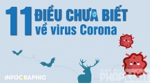 11 điều có thể bạn chưa biết về virus Corona