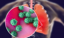 nCoV có thể tồn tại 9 ngày ngoài vật chủ