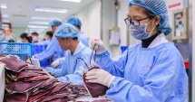 Viện máu làm việc hết công suất sau khủng hoảng do dịch virus Corona