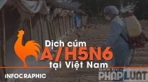 10 ổ dịch cúm A/H5N6 tại 5 tỉnh, thành