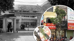 vu cay buoi moc o tran khat chan lieu co lo hong trong quan ly cay xanh